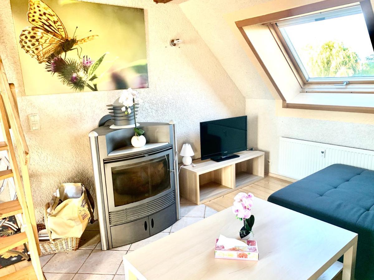 #World Ferienwohnung 슈코이디츠 외부 사진